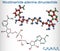 Nicotinamide adenine dinucleotide oxidized form, NAD+ molecule. It is coenzyme. Structural chemical formula, molecule model