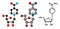 Nicotinamide riboside (NR) molecule. Stylized 2D renderings and conventional skeletal formula. Precursor of nicotinamide adenine