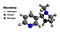 Nicotine 3D structure