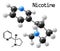 Nicotine molecule