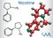 Nicotine molecule, is alkaloid , found in the nightshade family