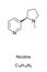 Nicotine molecule skeletal formula