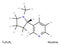 Nicotine structural formula. Vector illustration