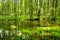 Niebieskie Zrodla or Blue Springs, famous for two pools fed by an underground spring which seem to shimmer at the bottom due to