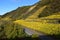 Niederfell, Germany - 10 28 2020: Steep yellow vineyards and a rough cliff