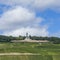 Niederwald memorial with vineyards in the Rhine valley