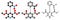 Nifedipine calcium channel blocker drug. Used in treatment of angina and hypertension (high blood pressure