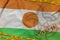 Niger flag and Covid-19 biohazard symbol with quarantine orange tape and stamp. Coronavirus or 2019-nCov virus concept