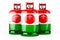 Niger flag painted on the propane cylinders with compressed gas, 3D rendering