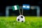 Nigeria - Argentina, Group D, Tuesday, 26. June, Football, World