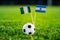 Nigeria - Argentina, Group D, Tuesday, 26. June, Football, World Cup, Russia 2018, National Flags on green grass, white football b