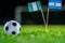 Nigeria - Argentina, Group D, Tuesday, 26. June, Football, World Cup, Russia 2018, National Flags on green grass, white football b