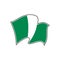Nigeria national flag. Vector illustration. Abuja