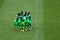 Nigeria Team at FIFA World Cup Brazil 2014