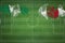 Nigeria vs Japan Soccer Match, national colors, national flags, soccer field, football game, Copy space