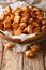 Nigerian Christmas food: appetizer Chin Chin fried dough close-up in a bowl. vertical