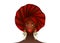 Nigerian Headtie, portrait African American woman wearing an ethnic Afro turban. Beauty black girl in Yoruba Wedding clothes hair