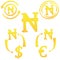 Nigerian Naira currency symbol icon of Nigeria