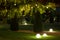 Night backyard with mown lawn and trees festive decorated.
