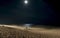Night beach illuminated by the full moon