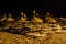 Night beach in Tunisia, sunbeds, umbrellas and starry sky