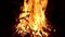 Night bonfire. Burning firewood