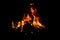 Night bonfire,orange flame, fire on a black background