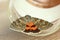 Night butterfly with colored orange wings close-up indoor. crawling insect macro in a jar top view