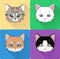 Night Cat Face Circle Icon. Flat Design Vector Illustration with Long Shadow. Witch Animal Symbol.