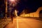 Night city street with blurry walking human, trees and street lights