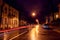 Night city street with lights of passing car, trees and street lamps