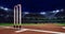 Night cricket pitch scene with moving spotlight shine and wooden wickets closeup