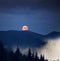 Night dramatic stage view. Silhouettes of mountain peaks and fir trees in the fog with and a large full moon with.