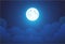 Night with Full Moon - Beautiful vector wallpaper, background illustration with landscape in dark blue color.