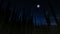 Night with Giant Saguaro Cactus in Silhouette and Full Moon-001