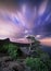 Night landscape with beautiful tree at mountains with moonlight