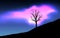 Night landscape of Dry tree and pink aurora