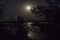 Night landscape and full moon over the lake