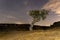 Night landscape with holm oaks in the natural park of conrnalvo. Extremadura, Spain