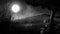 A night landscape with a large bright moon and a lonely tree standing in a field. Monochrome illustration with tall grass