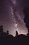 Night landscape with Milky Way and some trees in the mountains