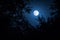 Night landscape of sky and super moon with bright moonlight behind silhouette of tree branch. Serenity nature background. Outdoors