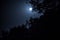 Night landscape of sky and super moon with bright moonlight behind silhouette of tree branch. Serenity nature background. Outdoors