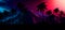 Night landscape with stars, sunset, stars. Silhouette coconut palm trees