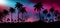 Night landscape with stars, sunset, stars. Silhouette coconut palm trees