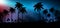 Night landscape with stars, sunset, stars. Silhouette coconut palm trees