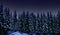 Night landscape, tall spruce trees covered with snow in the night forest and starry cloudless sky