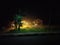 Night lightning view with greeny tree
