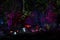 Night lights show `Inspiration` in Ostankino garden city park. Hundreds of lights in the forest. Amazing 3d light and laser illumi