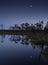 Night in a marsh, reflections and moonlight